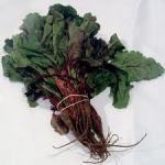 beet greens