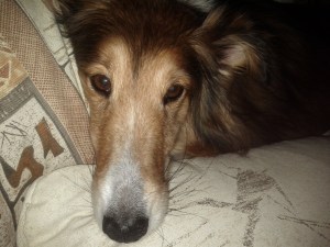 a prefer this mix of white, milk & caramel.