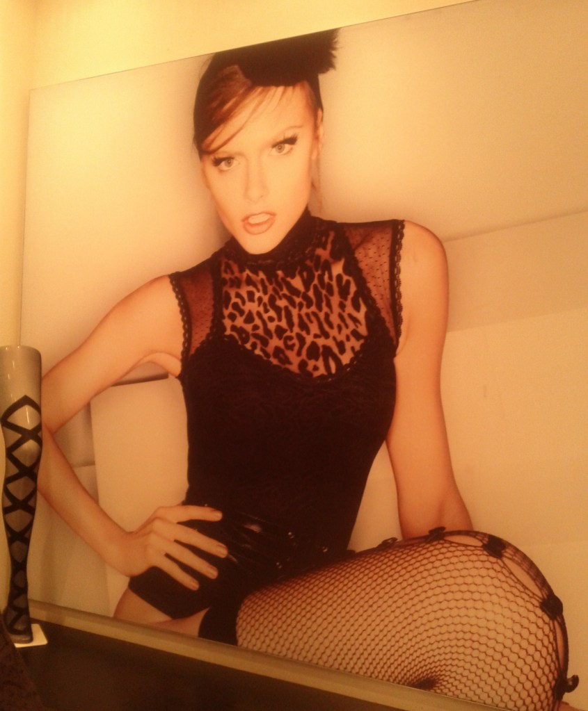 Poster with bodysuit & stockings