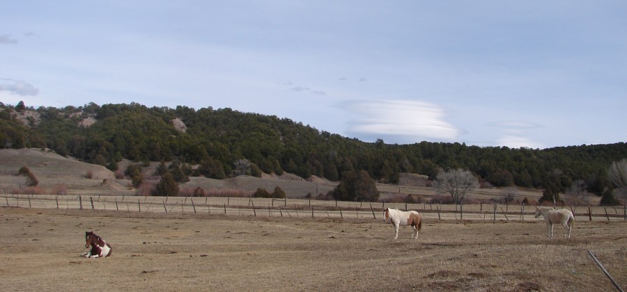 One of these lucky 3 will take me for a ride.