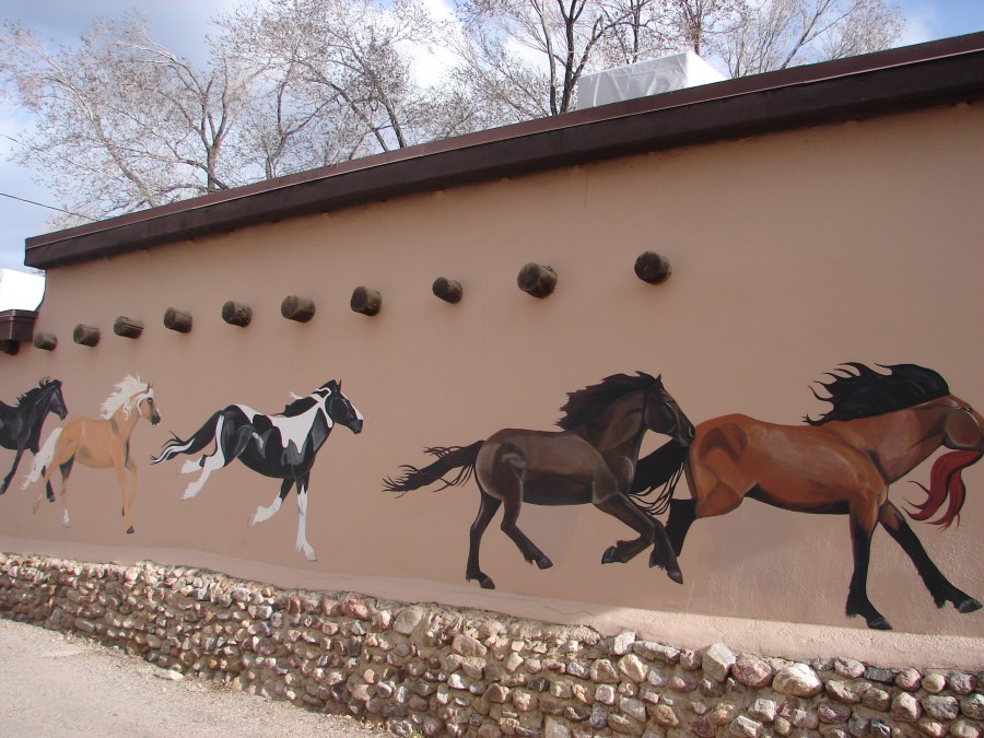 Half of a Horse Mural on Building
