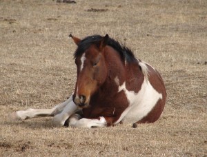 You're not looking at me are you?