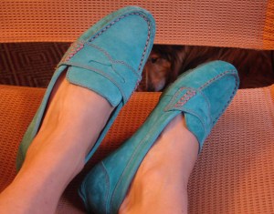 but Please don't step on them!