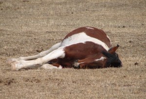 That was one hell of a ride!