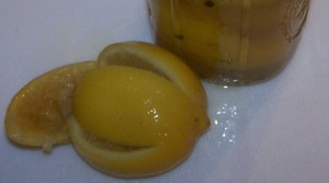 preserved lem - Copy