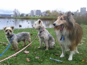 Wow...are we ever lucky to live in a place like this!