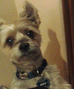 When are we going to play?