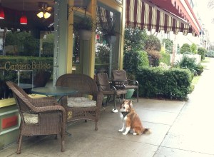 The little coffee shop that's not Starbucks.