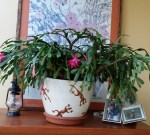 20140409_155610 - Copy