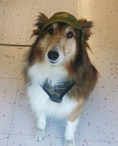 Jia Jia models a Star Wars baseball cap.