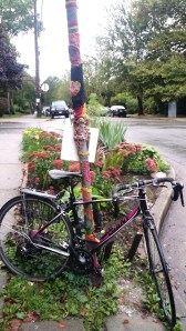 tied to a dressed up pole