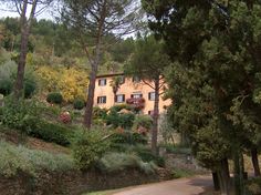 the house that was used to film "Under the Tuscan Sun"