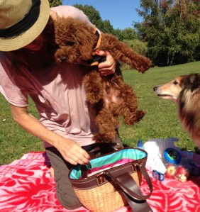 Let's see if you can fit in my purse.