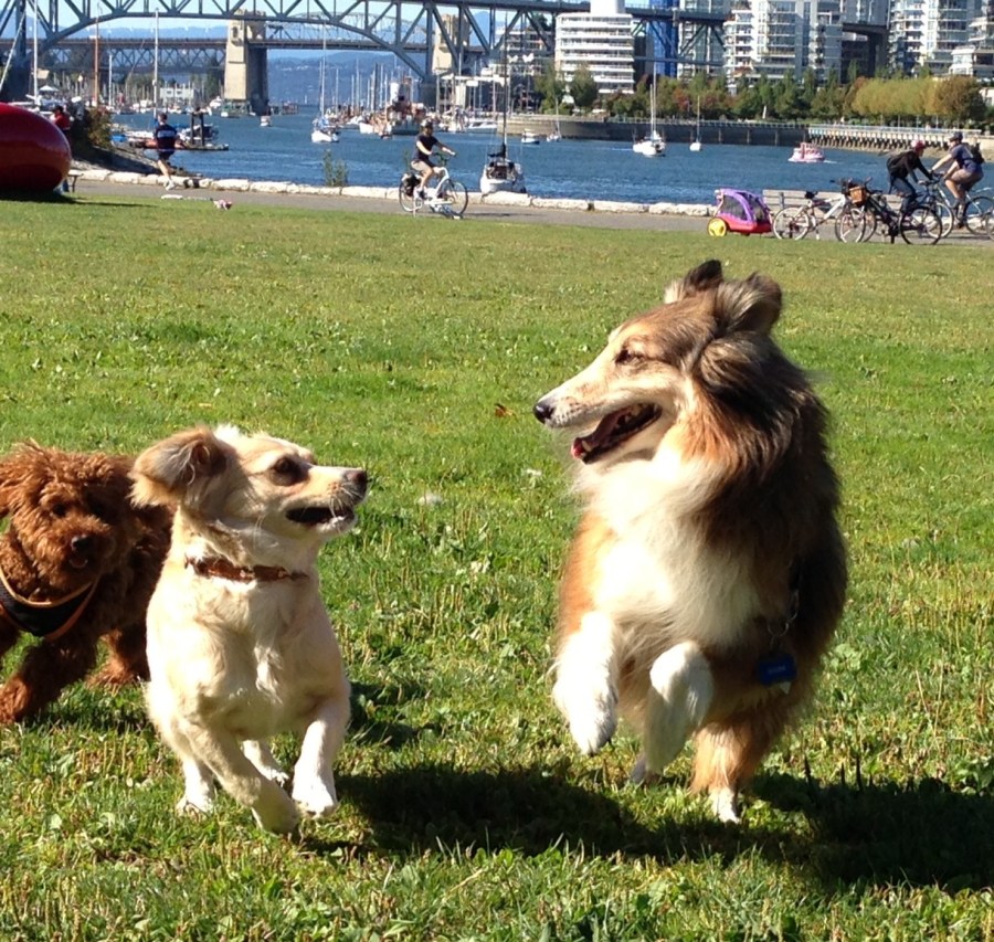 Gotta enjoy it while we can!