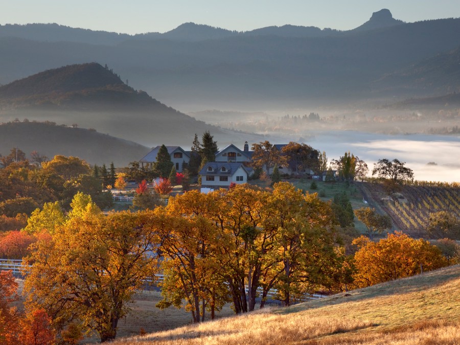 Rogue Valley vinyards near Ashland in the fall.