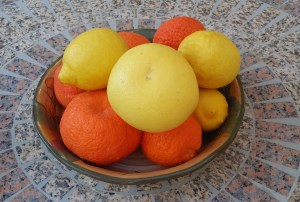 the bowl is a fairly large