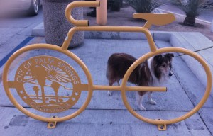 photo: Colleen Kohse