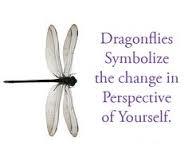 dragonfly1