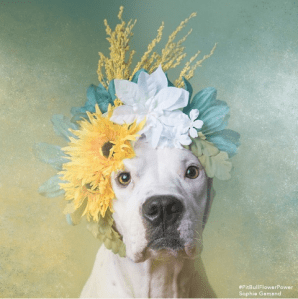 I deserve to be saved