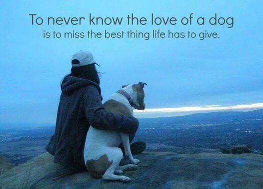 11020261_10153363222311424_8027077531756354233_n