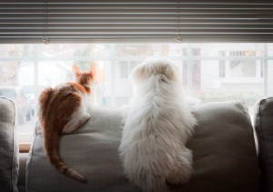 Time to hang and watch the world go by.