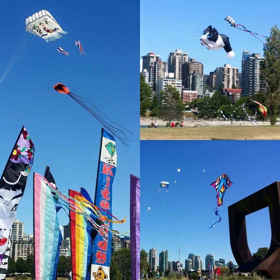 Kite Festival Vanier Park - go fly a CAT!
