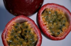 Passions Fruit (Passiflora edulis) Maracuja