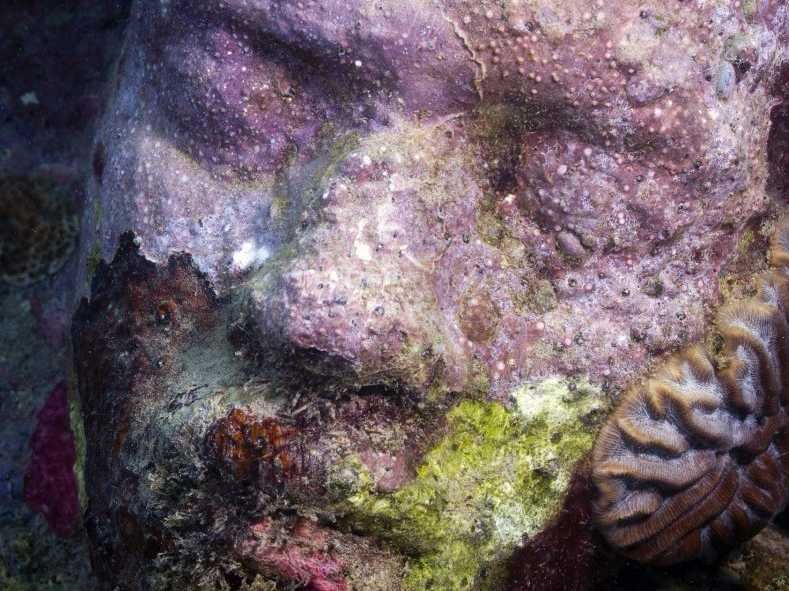Photo: Jason deCaires Taylor