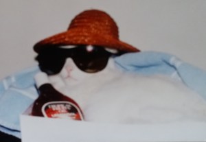 I took this pic of our family cat Frosty a long time ago.  He loved to borrow my sunglasses.     As you can see he took precautions in the sun.  We can learn something from Frosty the cat.