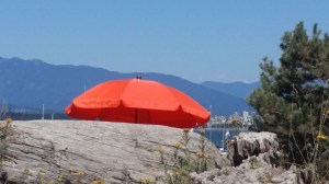 Backdrop to the festival