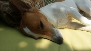 Especially when he's sleeping.