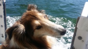 Is he ever going home? Or don't tell me....