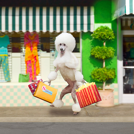 My husband says he will leave me if I don't stop shopping. God, I'm going to miss that man.