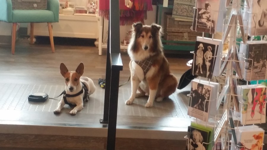 First Stop. We hope she finds a card quickly.