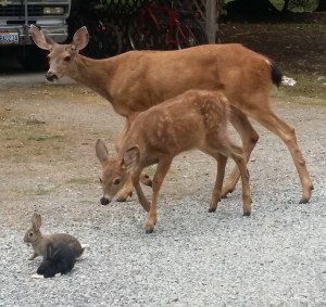 Friends we met on our first stop
