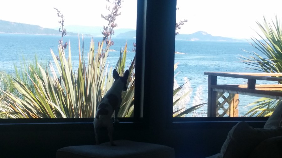 Jack enjoying the view from his living room - waiting for the boat to arrive with more supplies