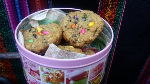 My pride inspired cookies. Actually Oatmeal/Raisin with a splattering of rainbow coloured Indian Fennel candy.