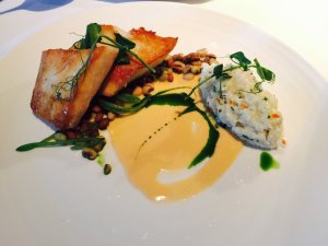 Cobia with beans and risotto