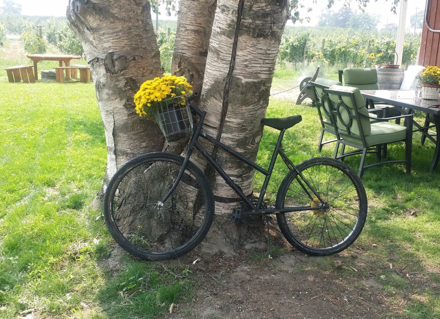 Life can be so Idyllic! 