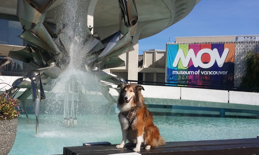 because DOGS need culture too