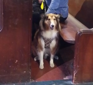 Jia Jia with my friend Colleen