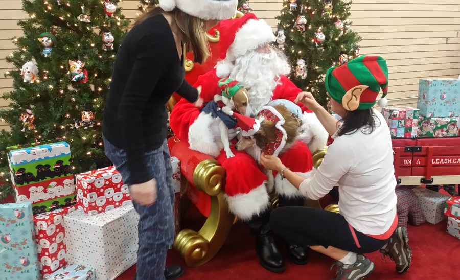 Getting them ready for the photo