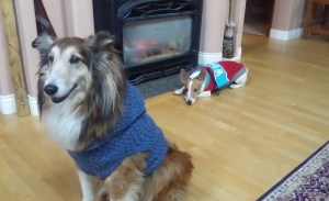 I think the sweate my grandma knit looks a bit small for you