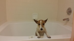 yeah, you really need that bath