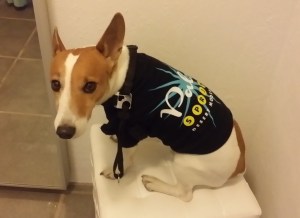 to get ready for the Palm Springs Film Festival baby!