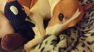 so tired after all that partying