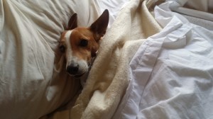 "What the hell time is it anyway?"