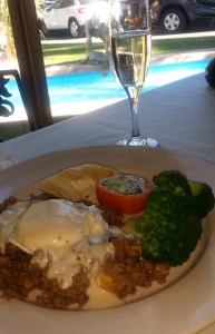 The lovely pond view