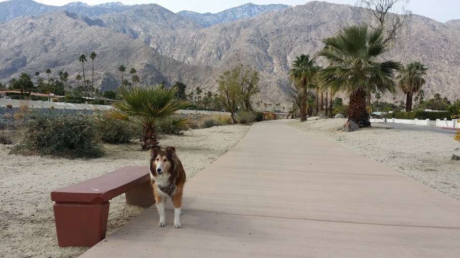 a short walking distance from where we stayed