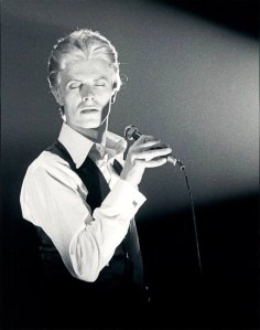 My friend Dee Lippingwell took this photo among many many others.